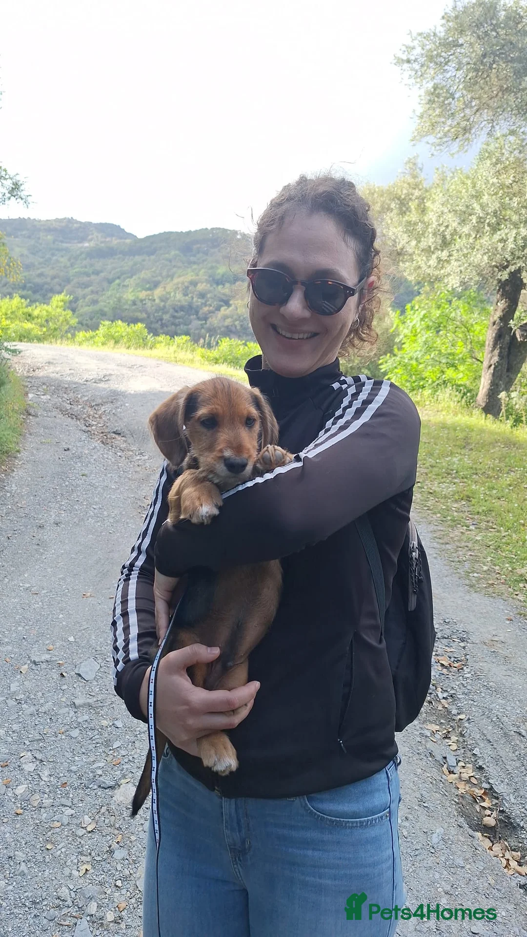 Mixed Breed dogs for sale: 3 pups in Makarska - Advert 4